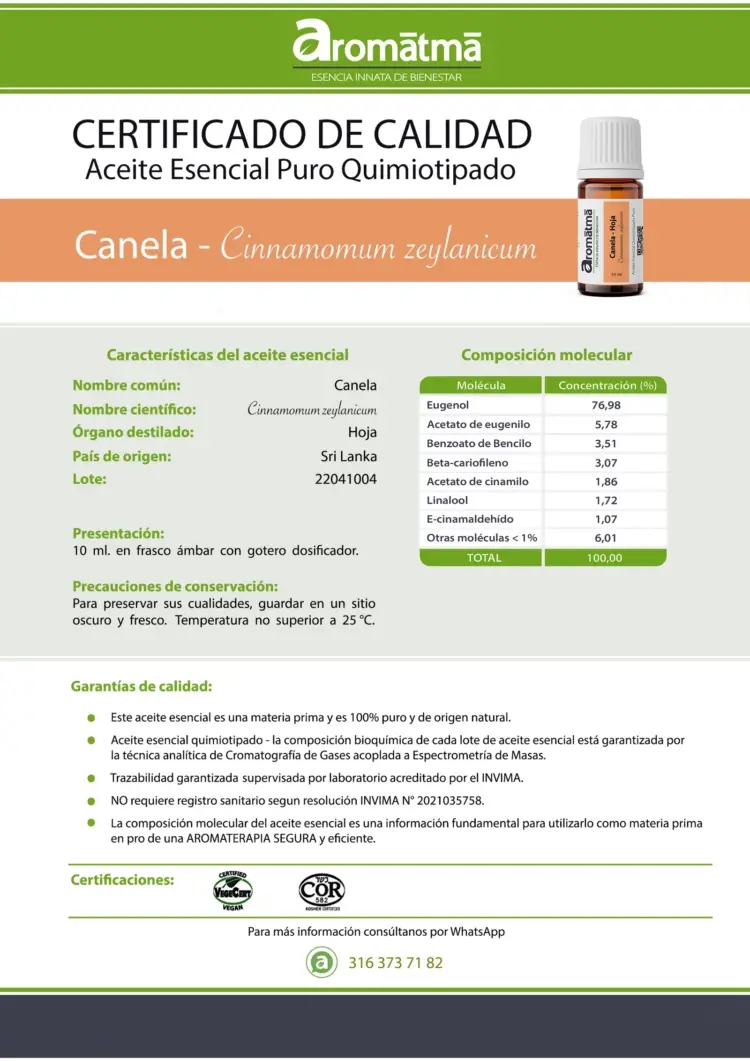 Canela - Image 2