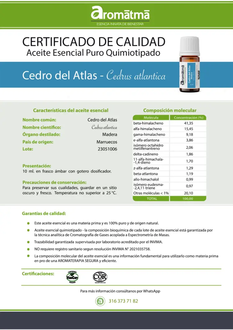 Cedro del Atlas - Image 2