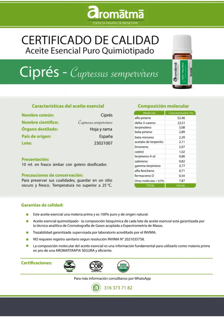 Ciprés - Image 2