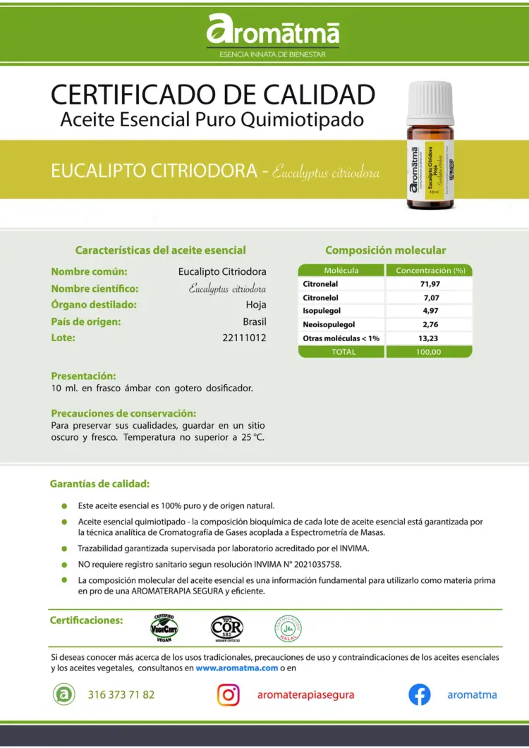 Eucalipto citriodora - Image 2