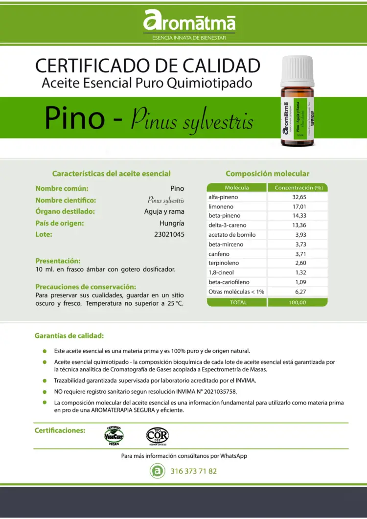 Pino - Image 2