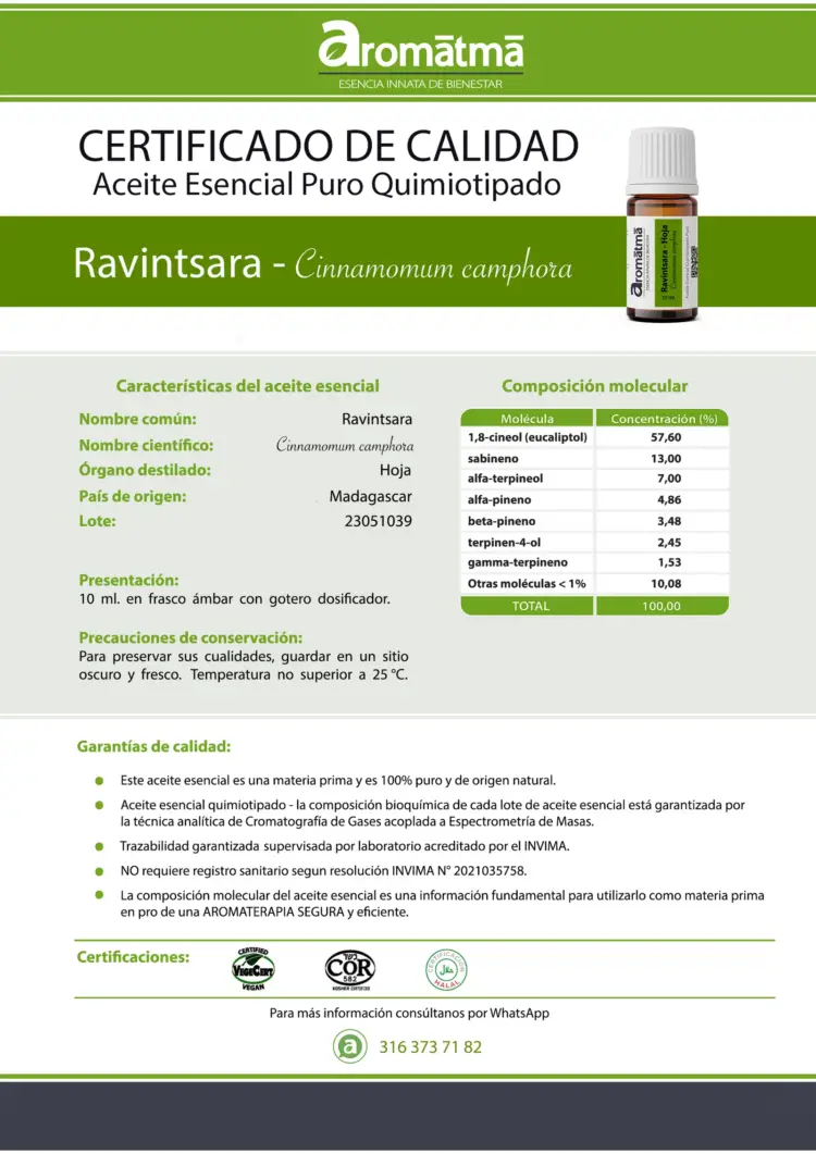 Ravintsara - Image 2