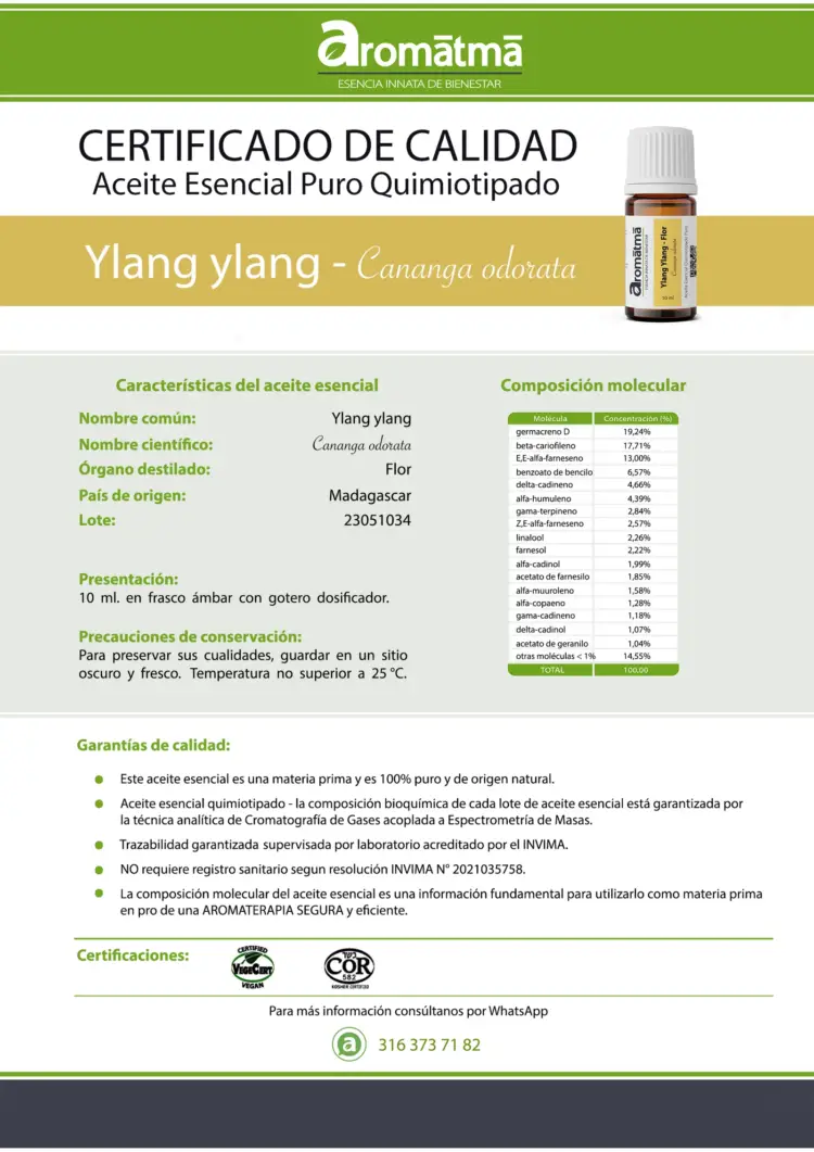 Ylang Ylang - Image 2