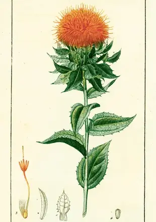 il_794xN.3387264085_hlqd