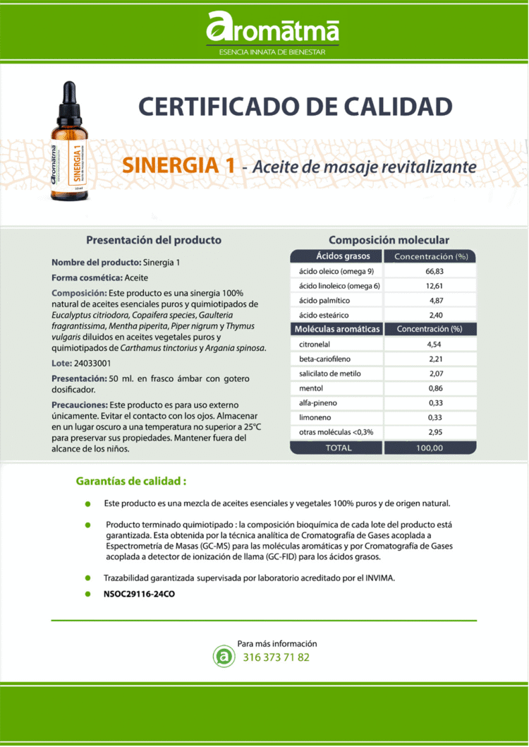 Sinergia 1 - Image 2